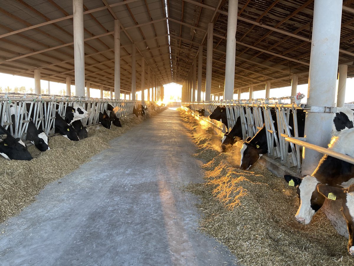 "A person may think their own ways are right, but the Lord weighs the heart." Proverbs 21:2
Good morning and have a blessed week folks!