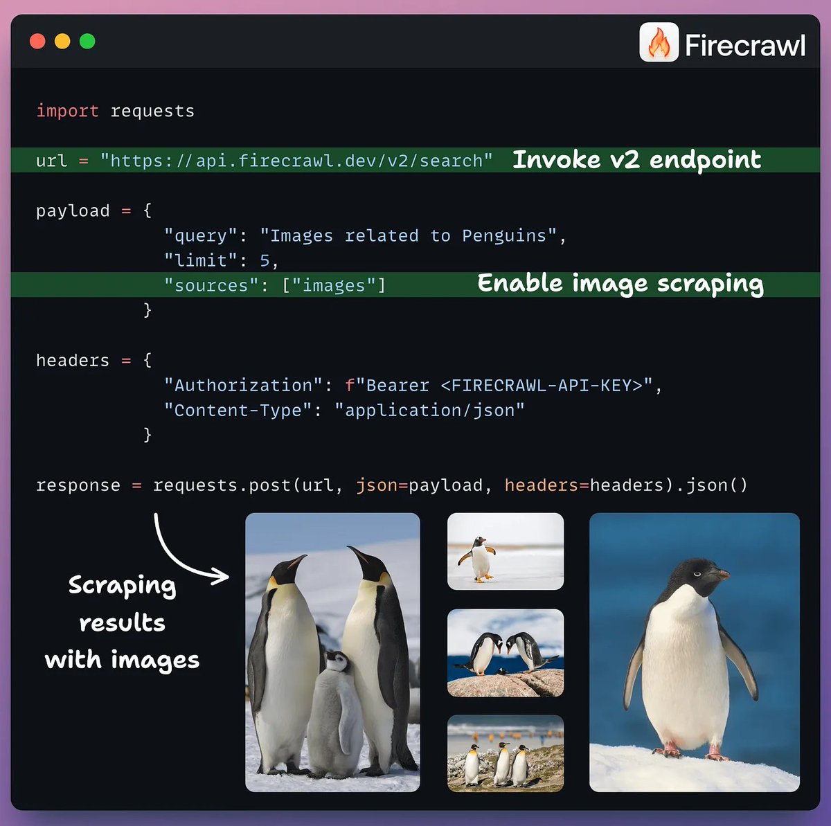 _avichawla's tweet image. Image scraping is finally here!

Firecrawl’s latest v2 endpoint now lets you scrape visual content from the web to build multimodal LLM apps, fine-tune LLMs, and more.

You can also apply specific filters like resolutions, aspect ratios, or image types.

66k+ stars on GitHub!