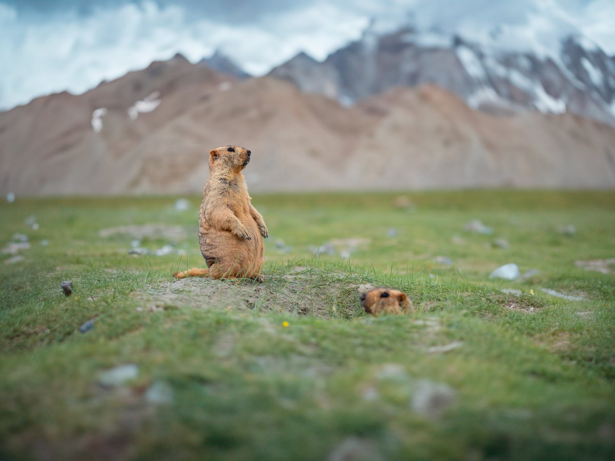ViewFromShikhar's tweet image. We need more nature on 𝕏 🌿
If you agree, drop a nature photo you captured.