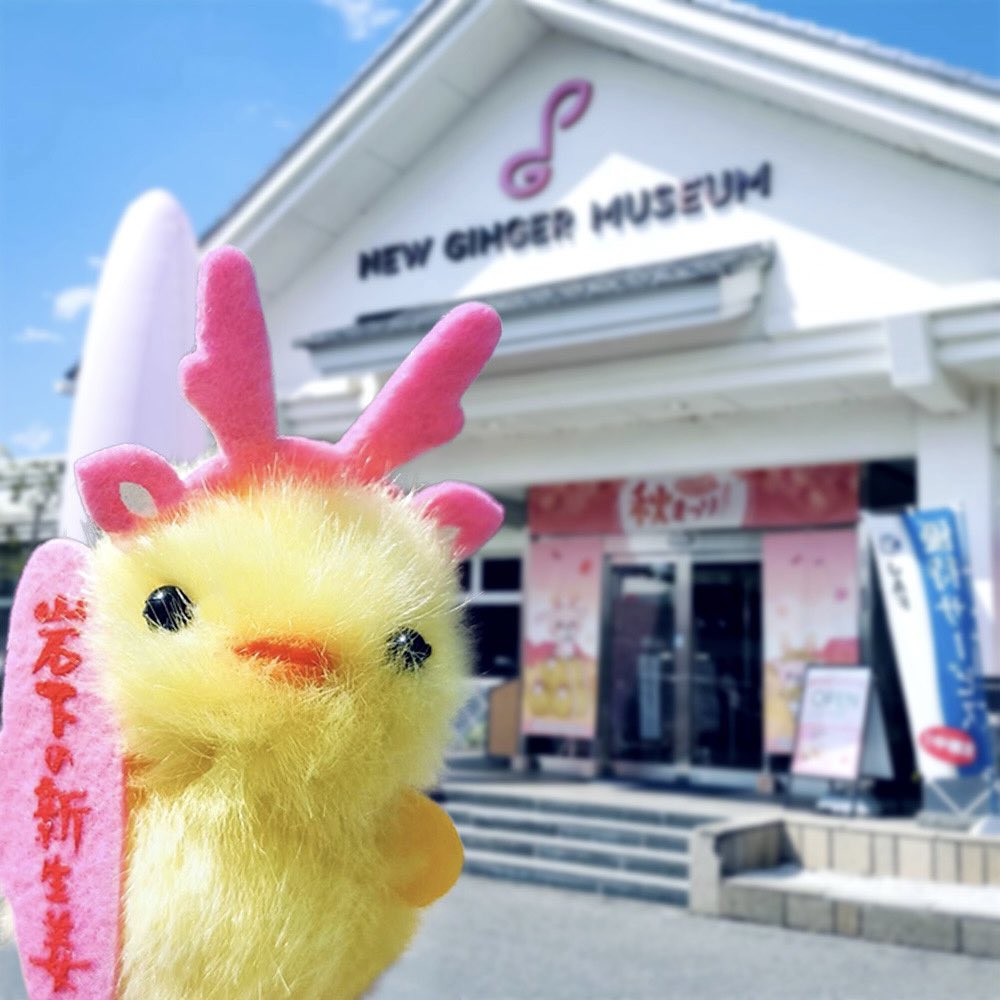 ひよこのおかげ【公式】 (@hiyokono_okage) / Posts / X