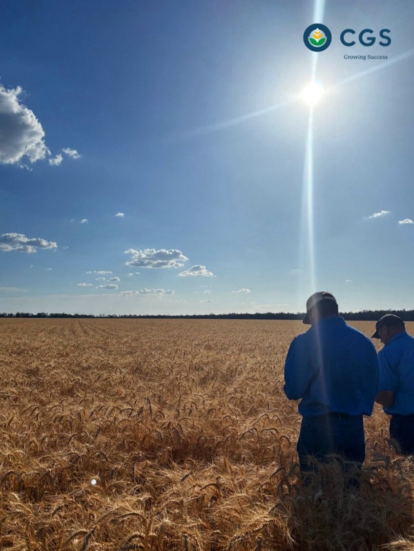 Harvest season is well underway! 🚜🌾
A beautiful shot from Tasmyn of Geoff Rudd and Matt Todd inspecting a wheat crop to see if it’s ready to harvest.
Best of luck to all our growers as the season continues!