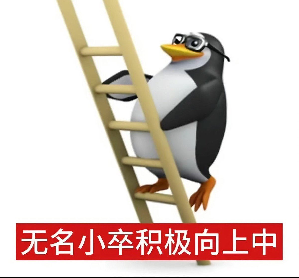 Pengu_BSC_Coin's tweet photo. 恶俗企鹅是一个有关企鹅表情包二次创作的币安meme币，因在各大网络平台广泛传播和使用而闻名，其原型是三维威廉泰尔企鹅，现已成为互联网z时代的某种精神象征。 https://t.co/2zJCitoNGd