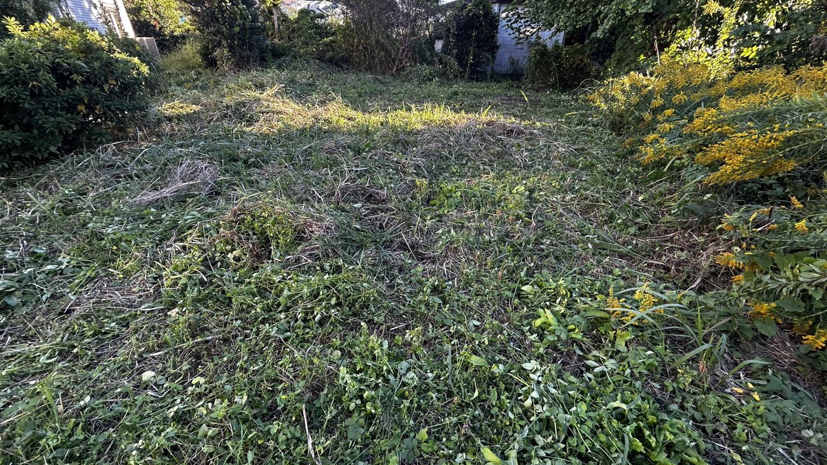 j__base's tweet image. 七日連勤後の休日。。。。。
洗車機の後、はかまいり。。。。。

で、帰宅後伸び放題の草刈り。。。。。
熊手は使い物になら無くなりました。。。。。

其れにしても、バイク日和だな。。。。。

来週こそは。。。。。