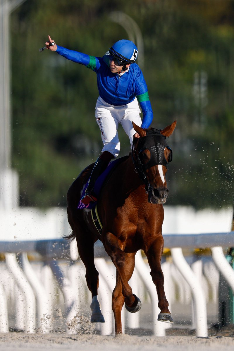 maruta (@marutanx8691) / Posts / X