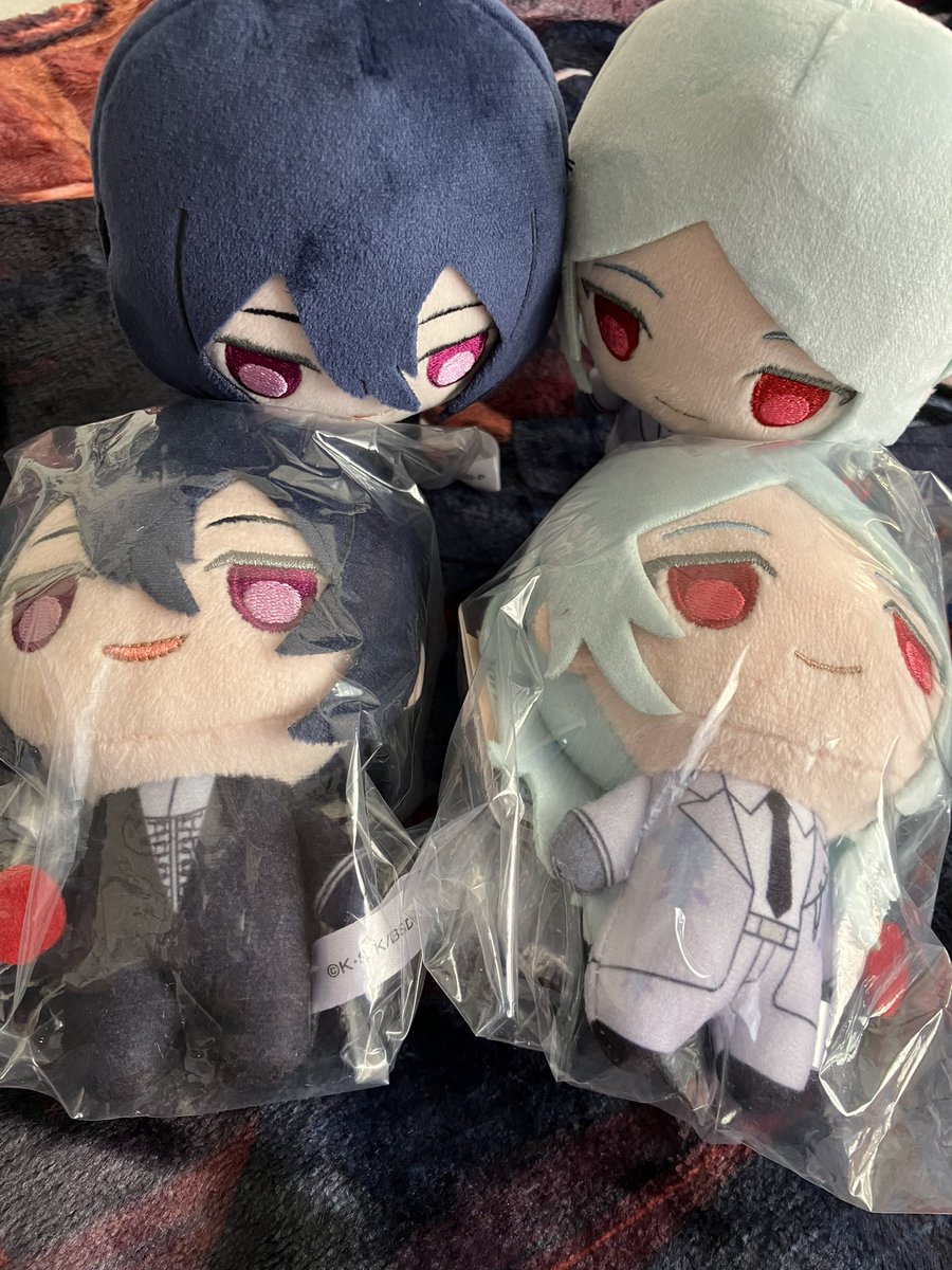 妹がオンクレで獲ってくれたどすしぶをお迎えしました🐁🐉   
世界一かわいいが増えた…なんという尊さ…🙏
大事にする！！ありがとう！！