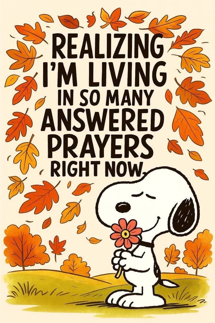 Meow & Magic (@mmeow_magic) on Twitter photo 