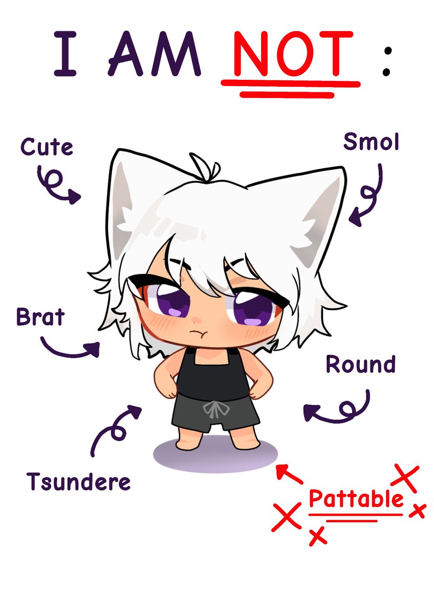 Kitsu hashire comms 👀💛