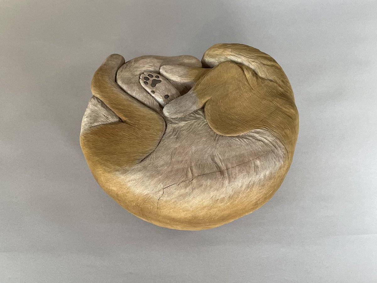 日本橋三越本店　本館6階　美術特選画廊2025年11月12日(水)〜17日(月)
［最終日17:00終了］
木の呼吸 ー刻ー

この展示に出展している
"丸くなって寝ている柴犬"
『飆』  (つむじかぜ)
彩色完成画像です。

是非ご高覧下さい。