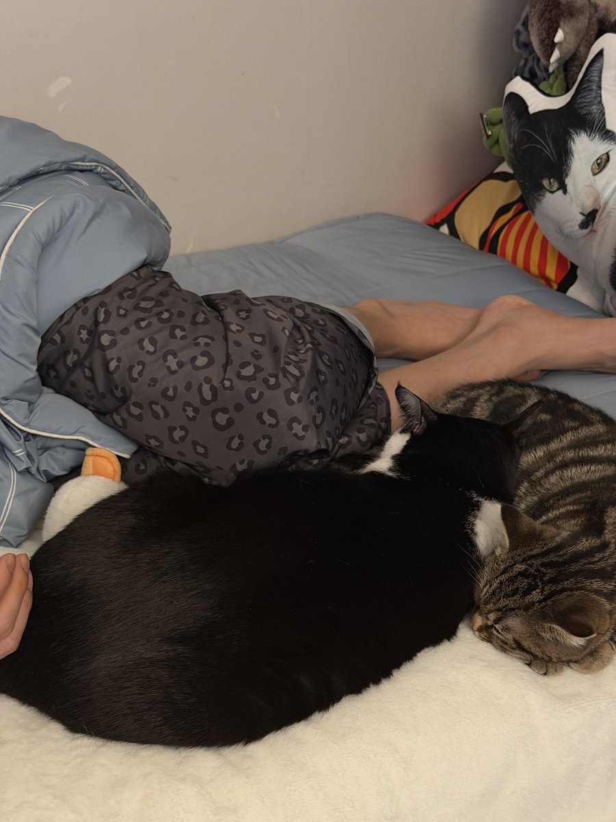 여러분 감기 조심하세요!!!!