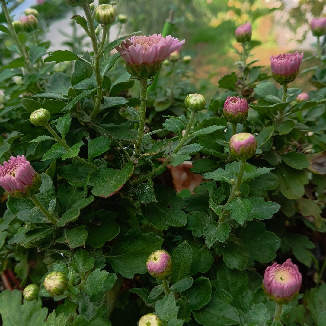 Οι μεγάλες προσδοκίες δεν χωράνε σε ένα κόσμο μικρό.. youtu.be/06VOMUQexj4?si…