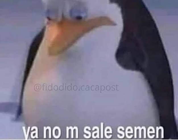 el wey luego de la paja 500
