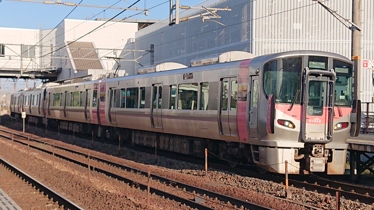 れっちゃん) (@w4qpI4Z3JyoDs1N) / Posts / X