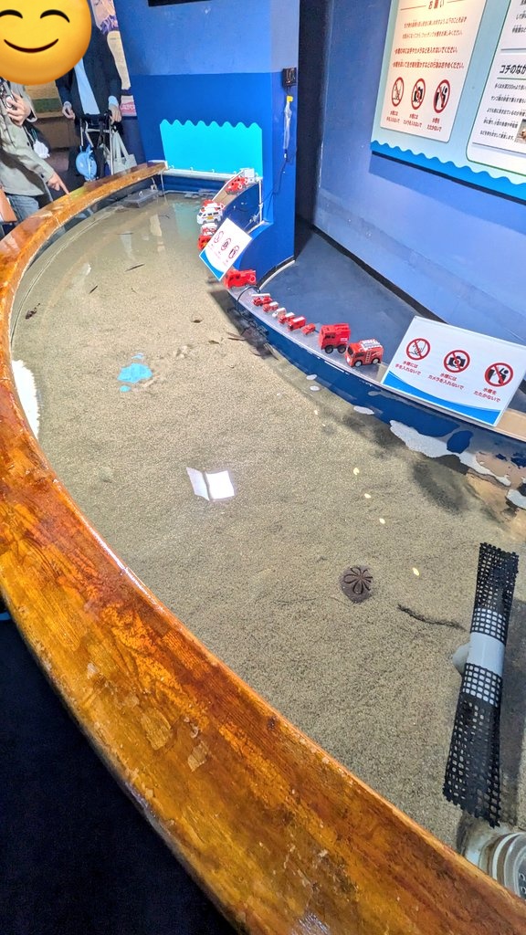 【さかなまん】 水族マン@ビーサポ on X