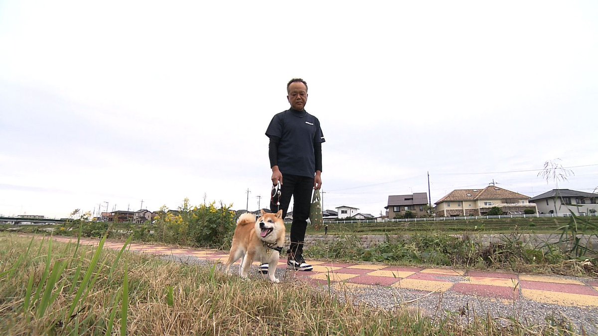 cx_mezamashi's tweet image. #きょうのわんこ に登場してくれたのは「コタロー」でした🐶可愛いがってくれた奥さんが亡くなった今でもいっしょに散歩した河川敷で思い出を胸に歩いているんだって😀

きょうのわんこはFODで無料配信中→fod.fujitv.co.jp/title/3291/

#めざましテレビ