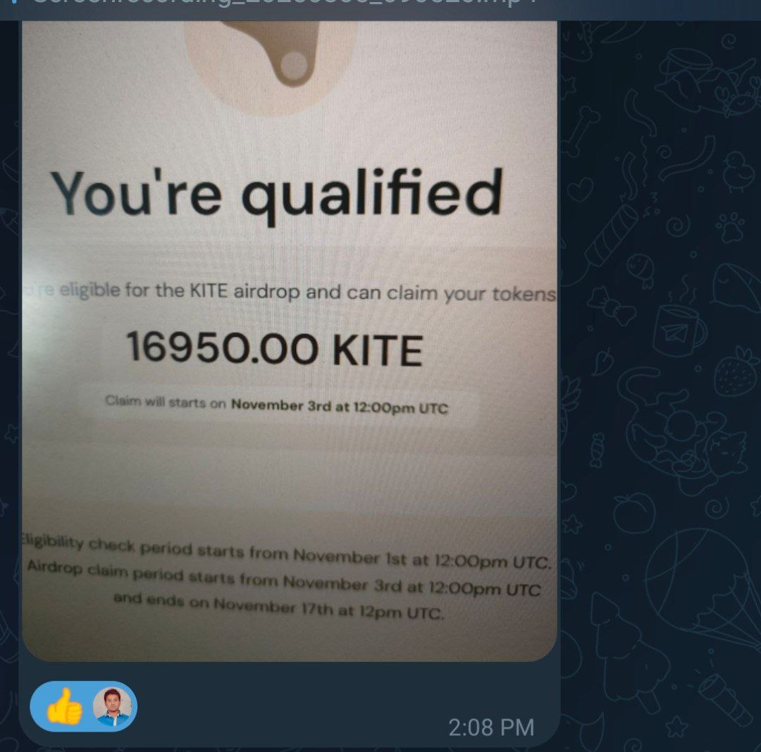 kaushik_chitesh's tweet image. ☺️ congratulations 🎉 

Testnet walo ka Abhi baki h

• Ye Discord role
• NFT Holder bagera ka 
@GoKiteAI $kite