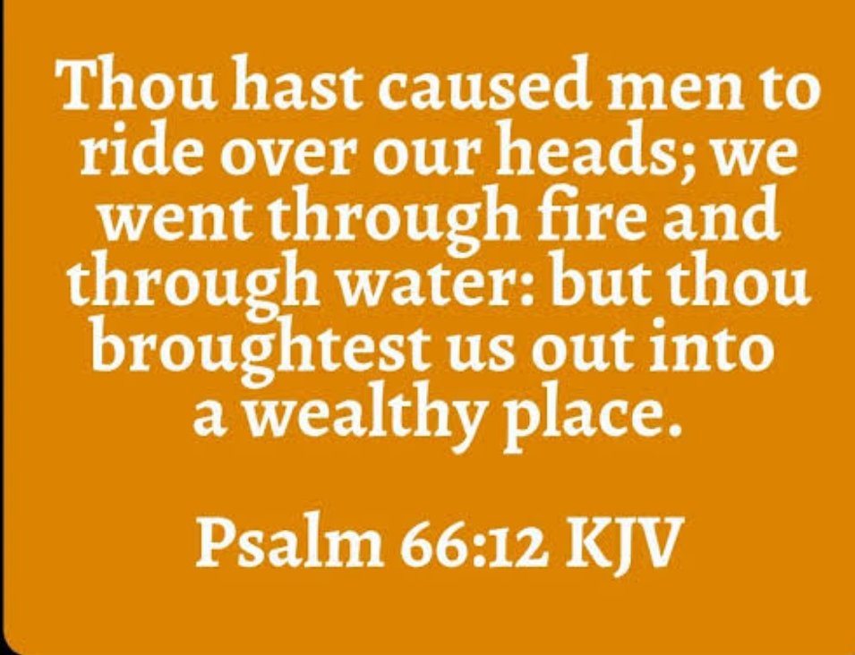 Just keep raising your hands in Thanksgiving for our good Lord has done it!

✅You held unto your $WKC and despite everything, you refused the urge to sell off
✅You held unto the word of the Lord concerning #Wikicat

Congratulations and welcome to your WEALTHY PLACE 🤑🤑🤑