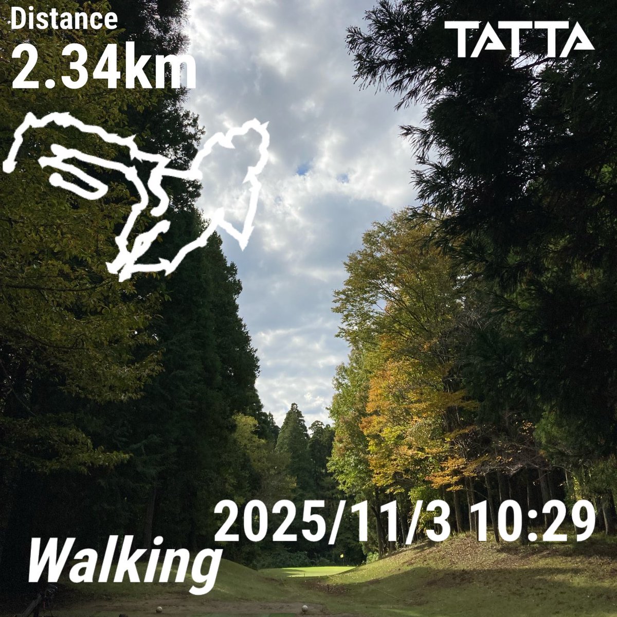 🌏斉藤🌕12/7湘南国際マラソン (@saitoh3110dayo) / Posts / X