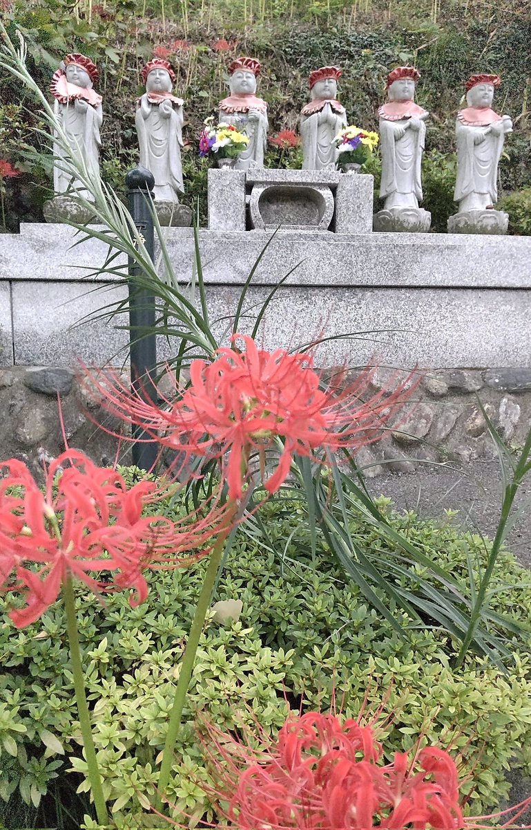 Makiko様♡専用ページ まきこ様確認用ページ ②マキコ様専用ご確認