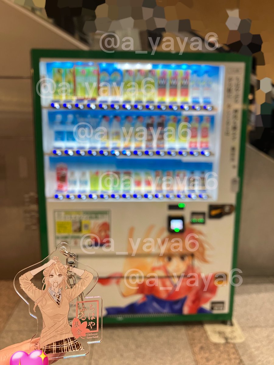 やぁや CXC / Muddy Fox Seeks Command / マディフォックス・CXC