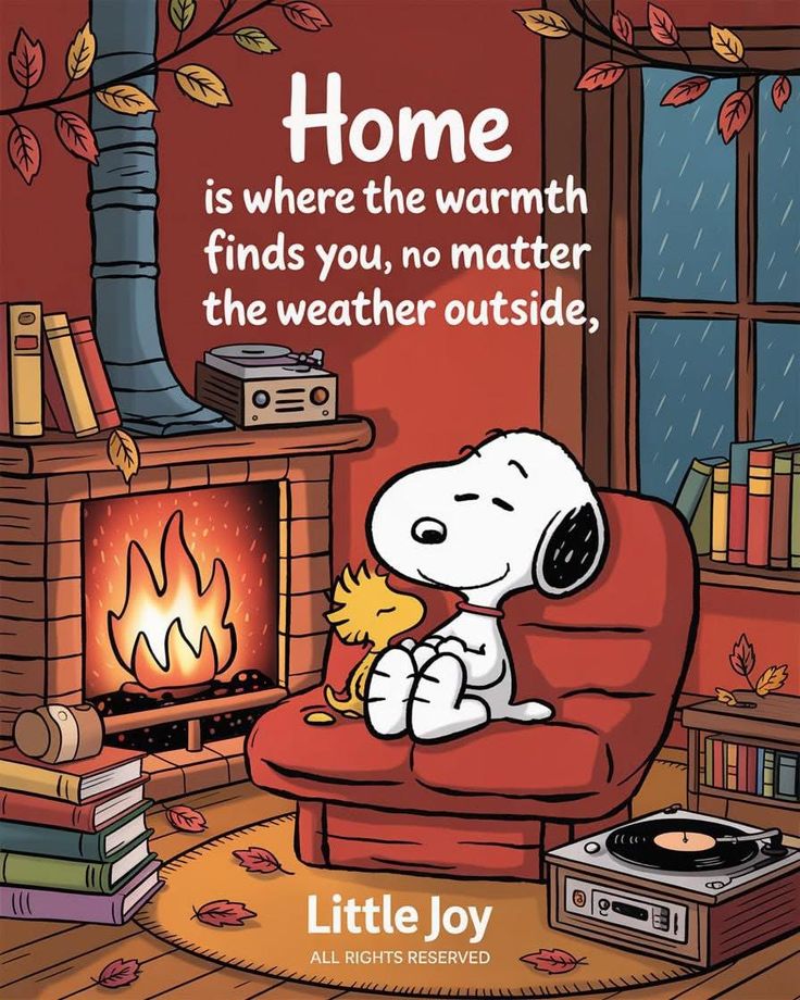 Meow & Magic (@mmeow_magic) on Twitter photo 