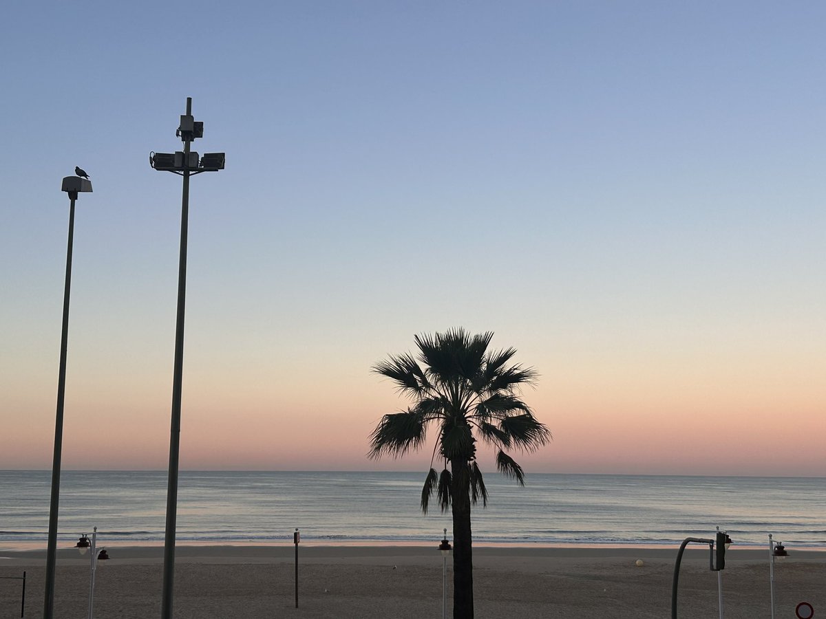 La palmera de Radio Cádiz dándolo todo