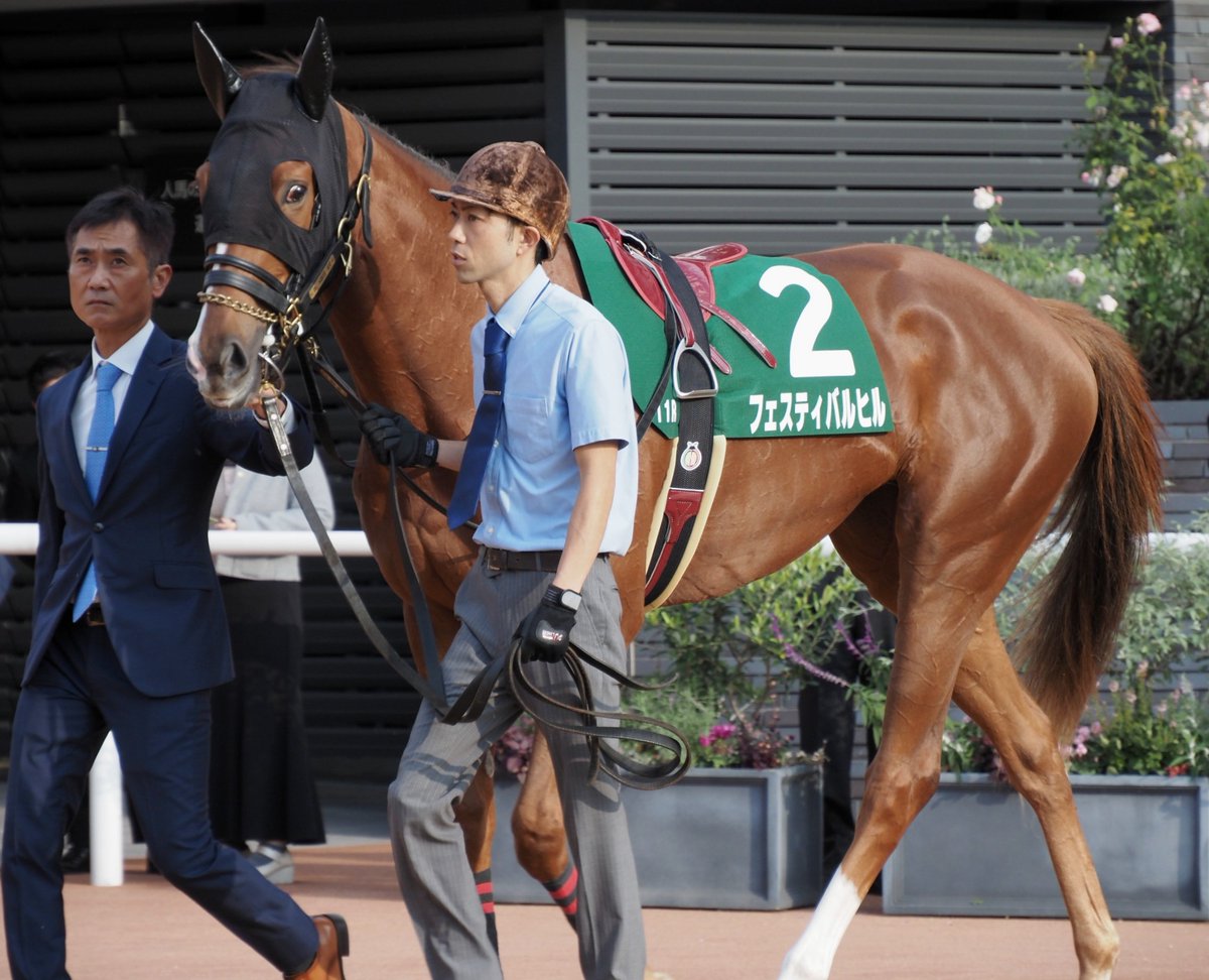 E3%83%95%E3%82%A7%E3%82%B9%E3%83%86%E3%82%A3%E3%83%90%E3%83%AB%E3