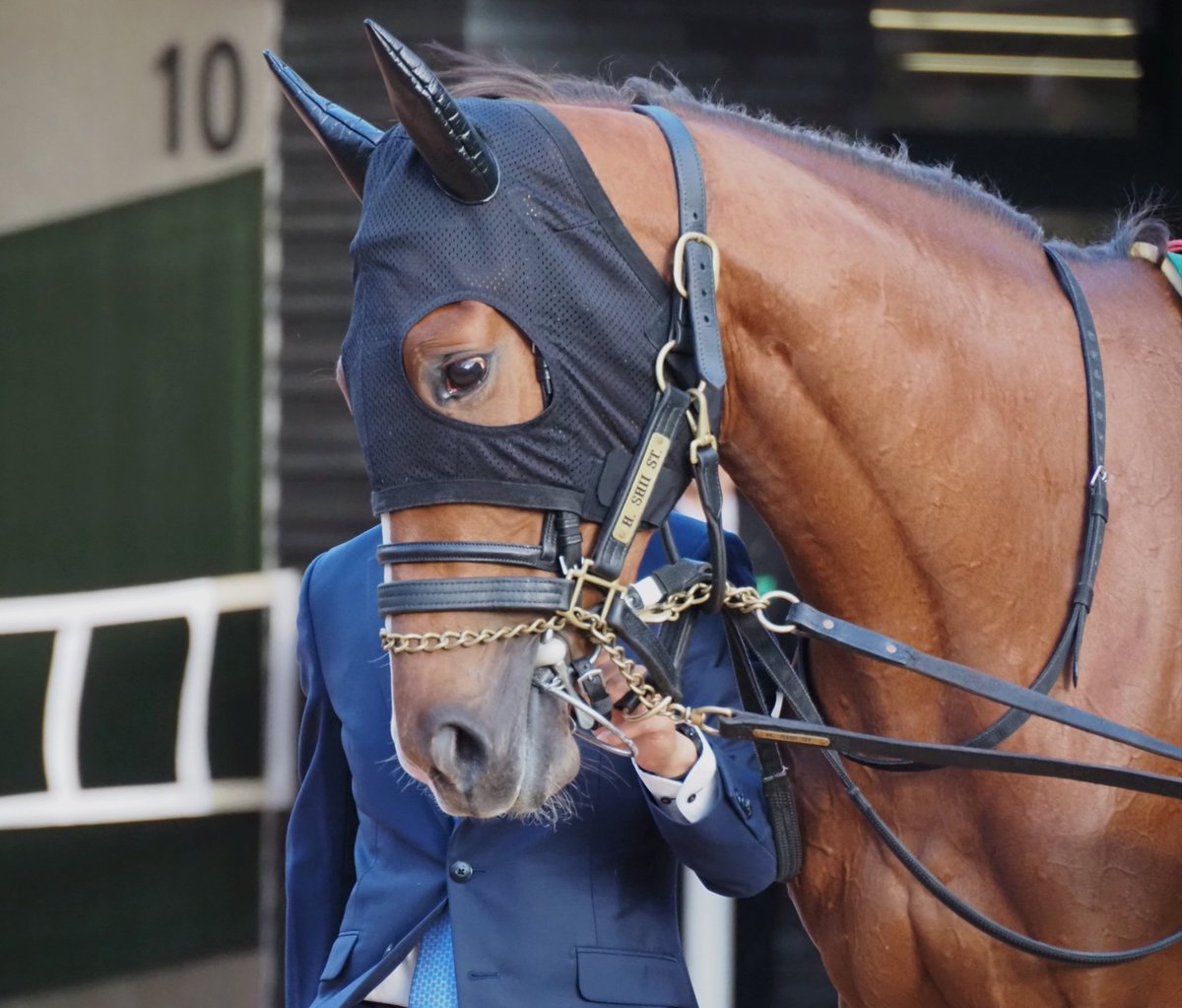 E3%83%95%E3%82%A7%E3%82%B9%E3%83%86%E3%82%A3%E3%83%90%E3%83%AB%E3