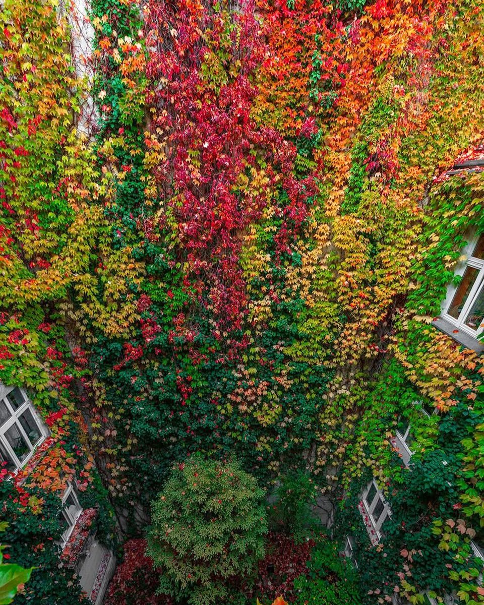 Te kolory już opadły 🍂
Wkraczamy w szarości