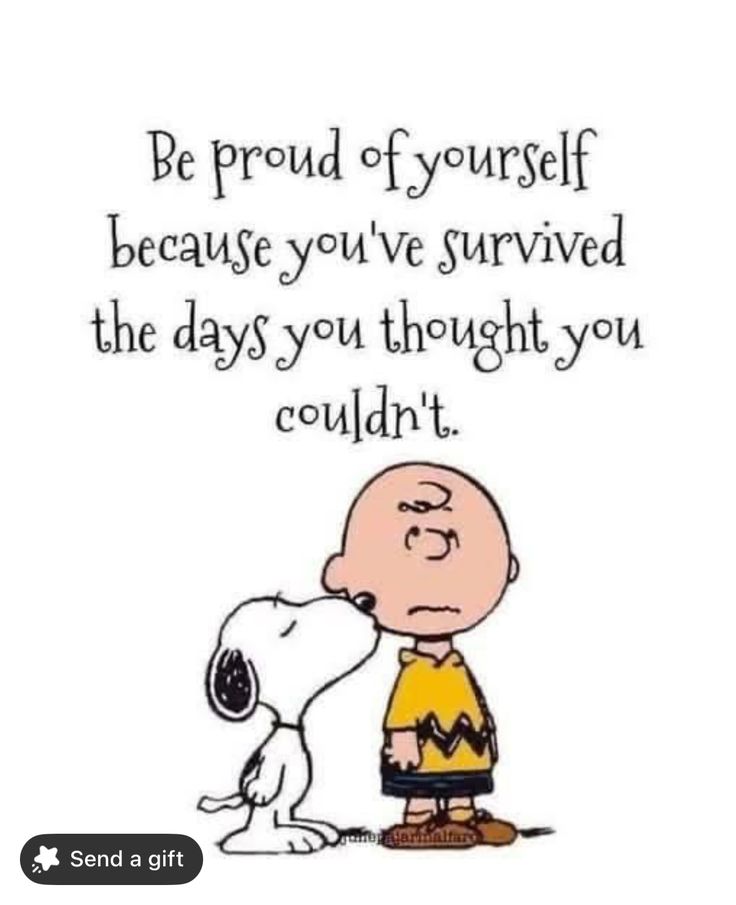 Meow & Magic (@mmeow_magic) on Twitter photo 