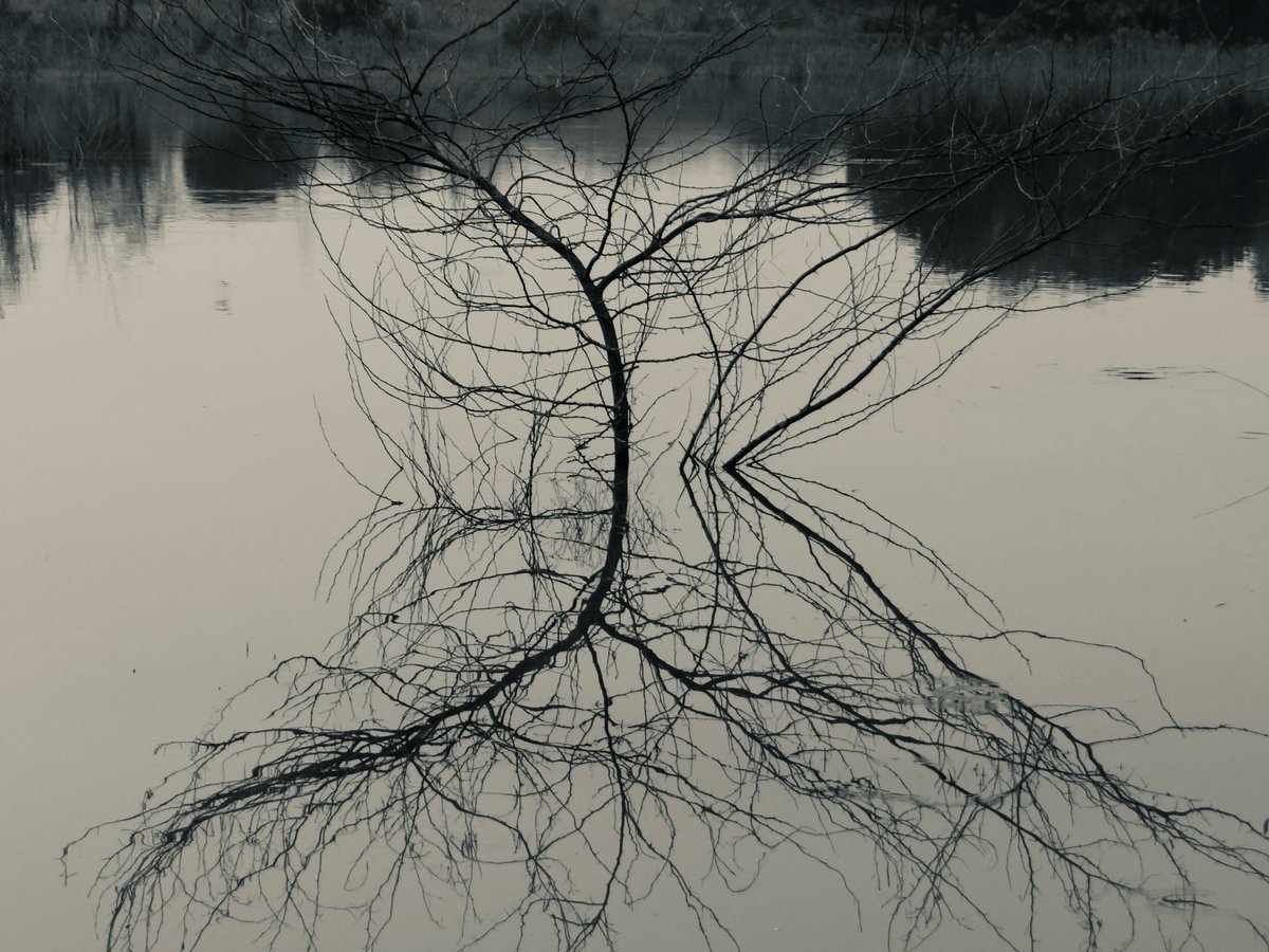 KKMtweet's tweet image. Neural Network. 
#Reflection #Photography #bnw #BlackAndWhitePhotography