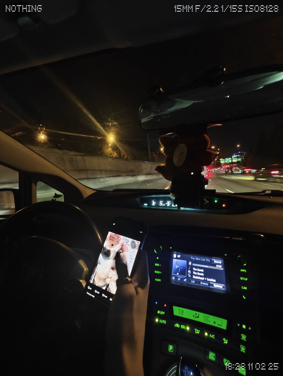 photo taken moments before fatal Prius accident on I-5