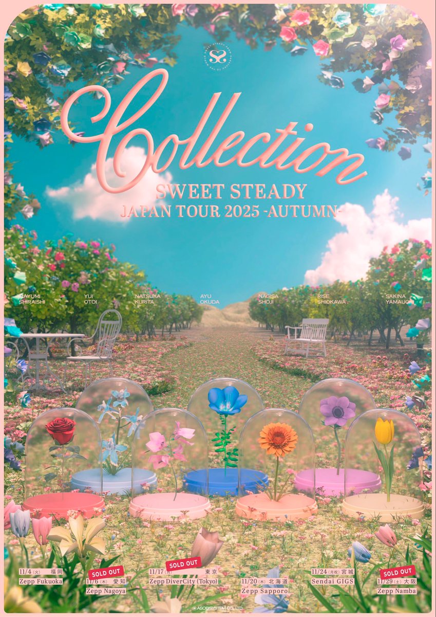 SWEET STEADY すいすて 全メンバー 直筆サイン ポスター VDC SWEET