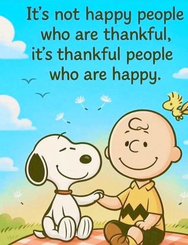 The Cat Corner (@cat_corner123) on Twitter photo 