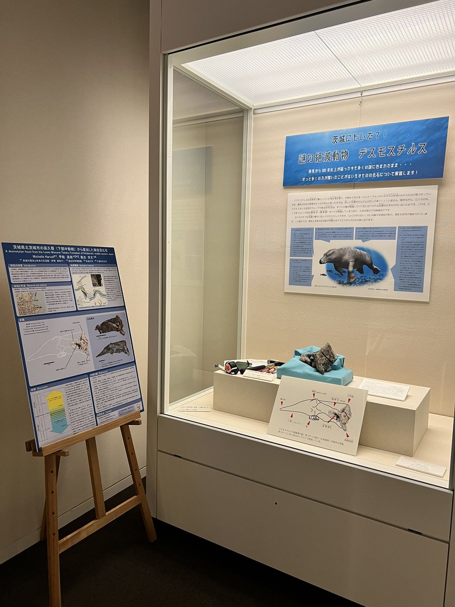 歴史と未来の交流館 on X