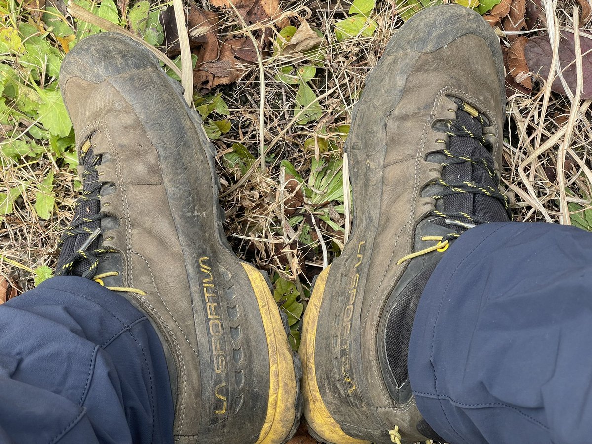 1月に買ったばかりです！ ちょこざい on X