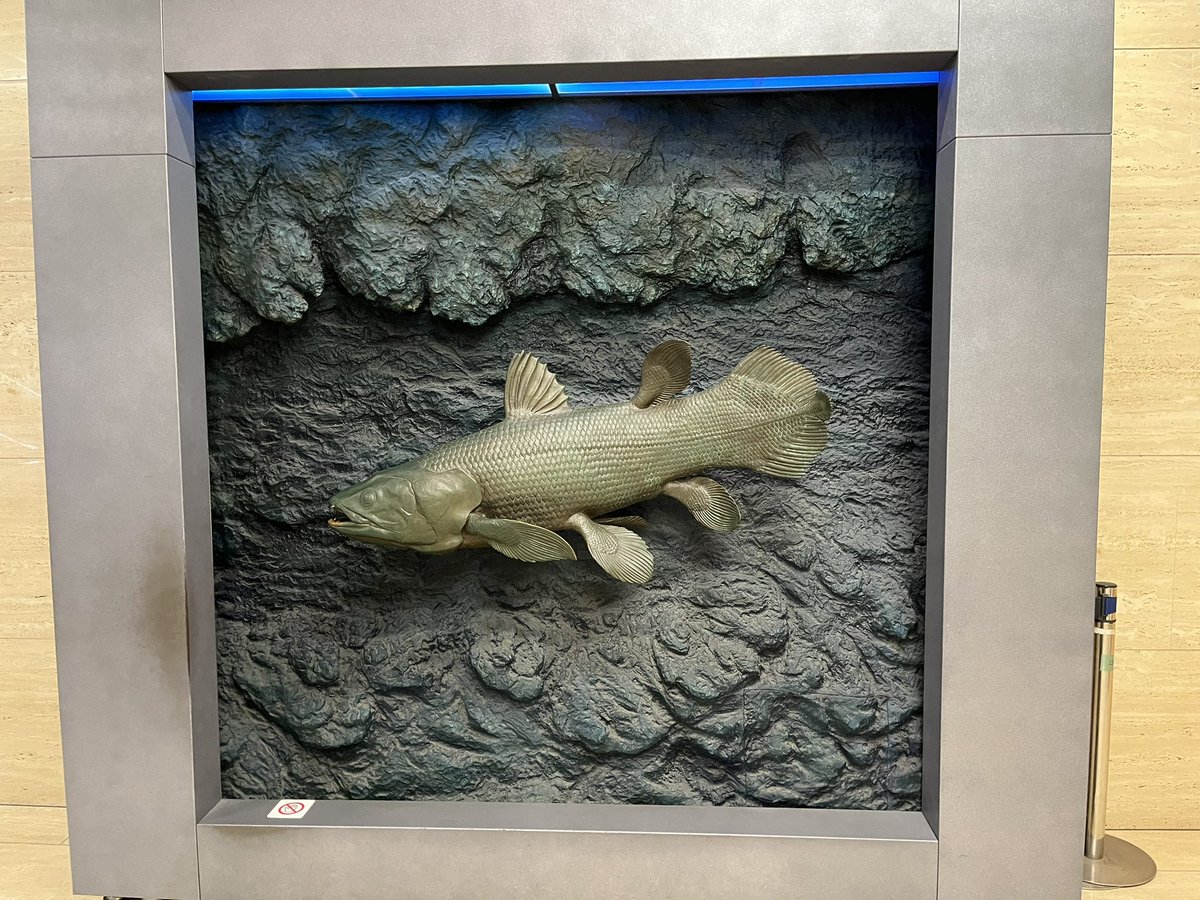 キンケツゥ・ナウ on X