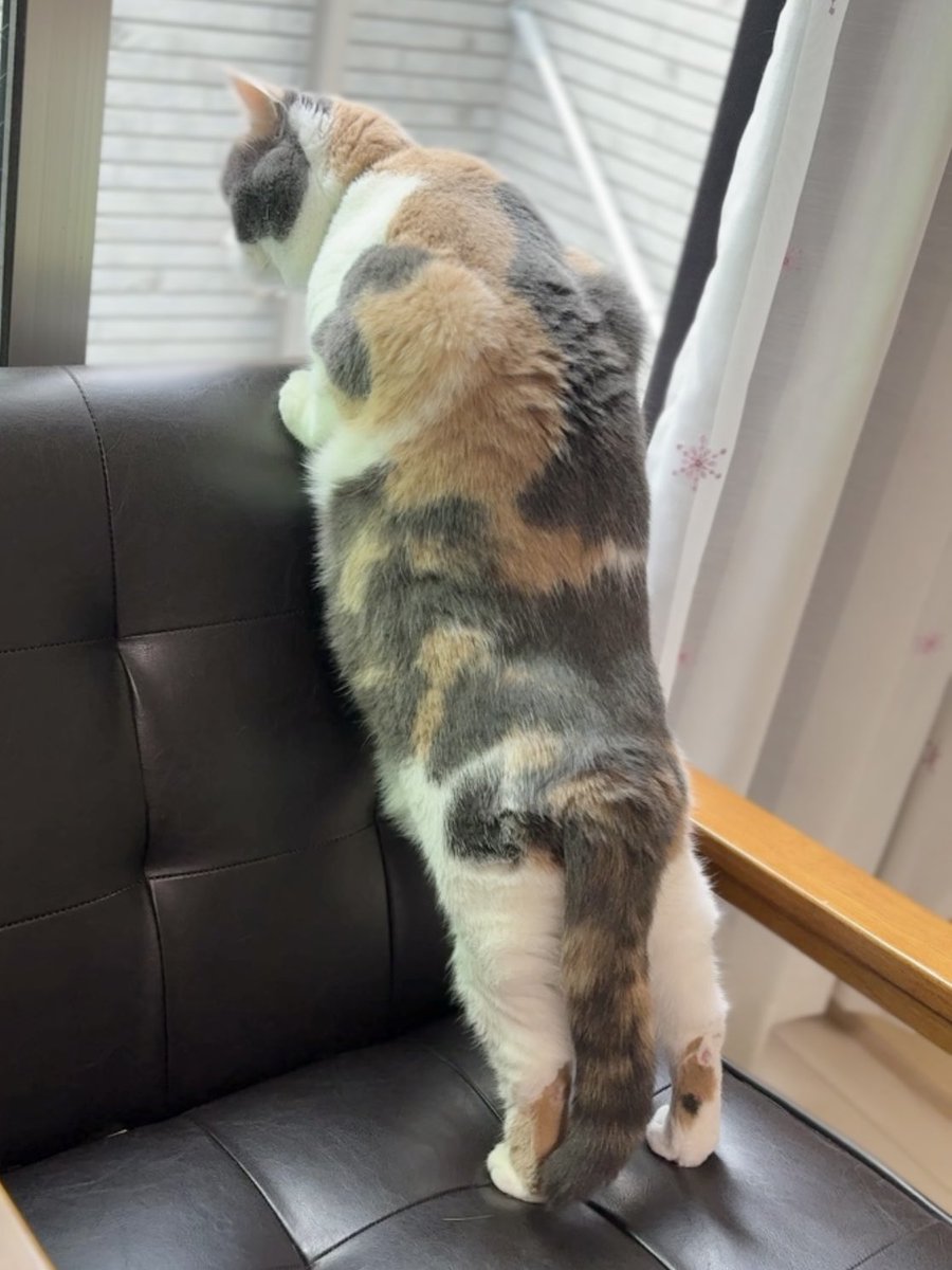 kuru (@kuru88303829) / Posts / X