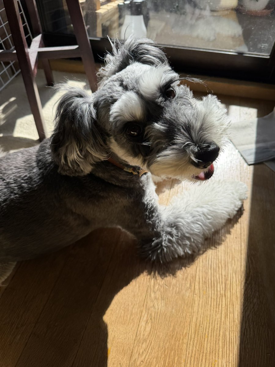 しんちゃん
ホットドッグになっちゃうよ〰🤭