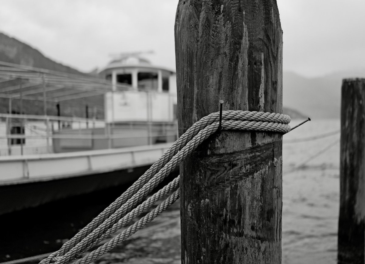 Montagsweisheit:
Wer innehält, sieht, was gewachsen ist – Stärke, Klarheit, Verbundenheit.