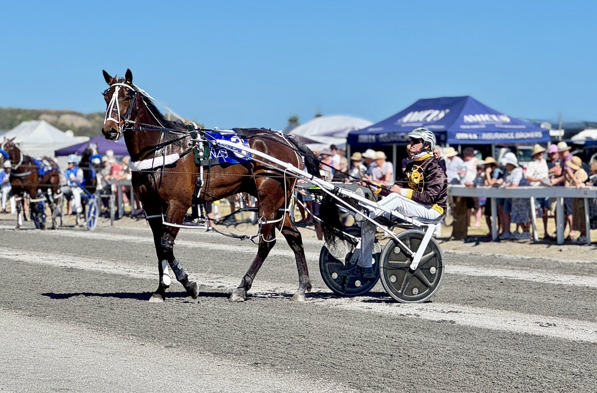 Well done the <a href="/Alabarfarms/">Alabar Farms</a> Team on your exciting son of Lazarus in the <a href="/nzbstandardbred/">NZB Standardbred</a> Aged Classic &amp; the picturesque Kaikoura.