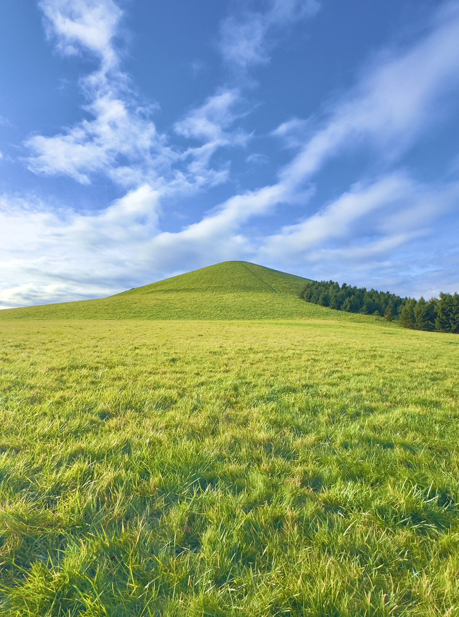 青いのページ カワサキ ZRX400 1995年モデル MK2仕様｜KMC