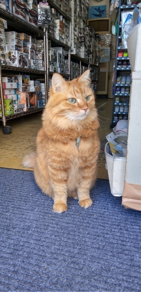 K様 zx1400ecf_Golden_Blazed_Green_