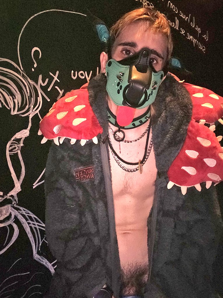 Elien The Handler.Pup tweet media