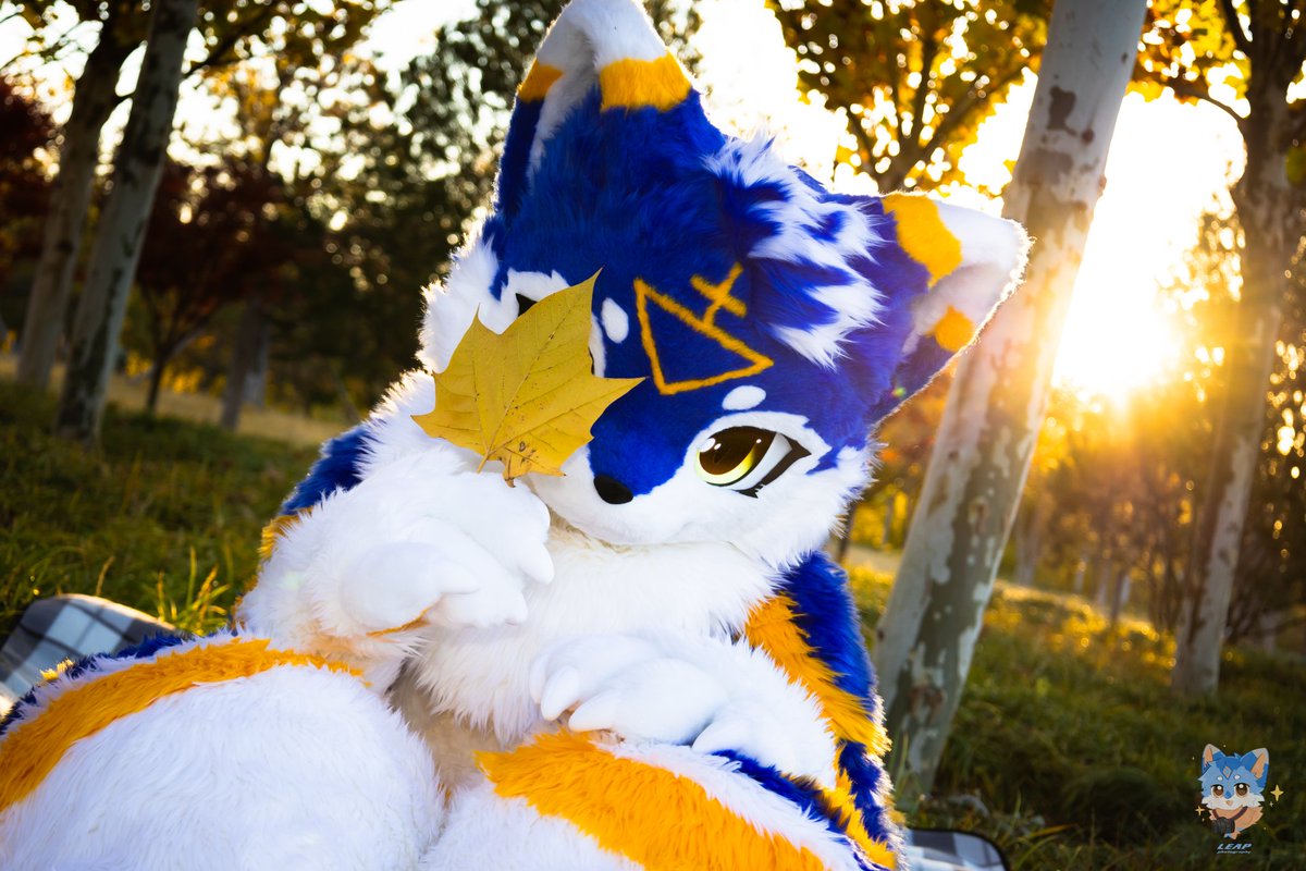 一叶障目

📷：<a href="/LEAP_1A26/">LEAP</a>