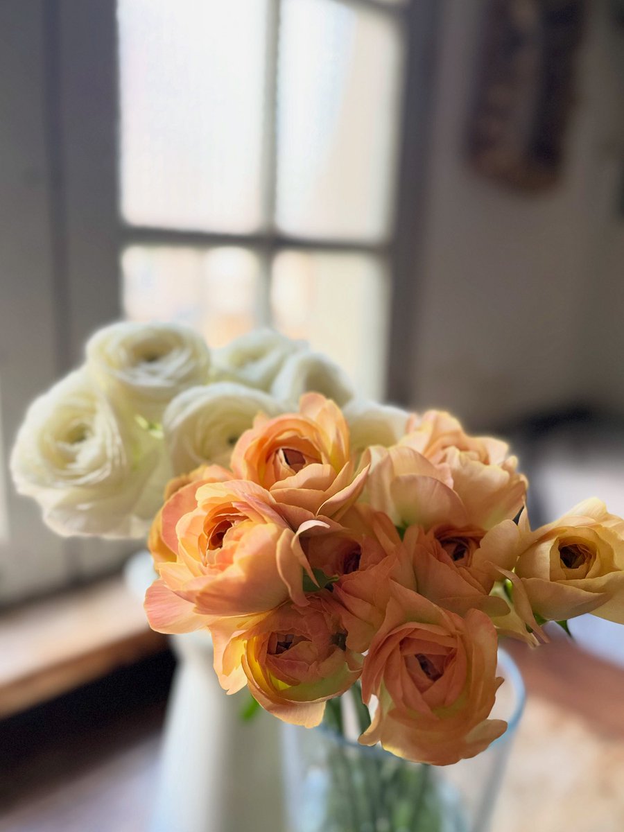 ラナンキュラス