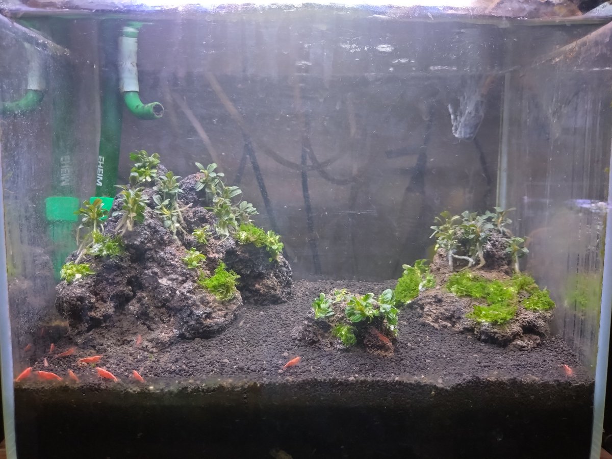 水槽 Cherie ミニオーバーフロー水槽！ | 不器用者のドール服。