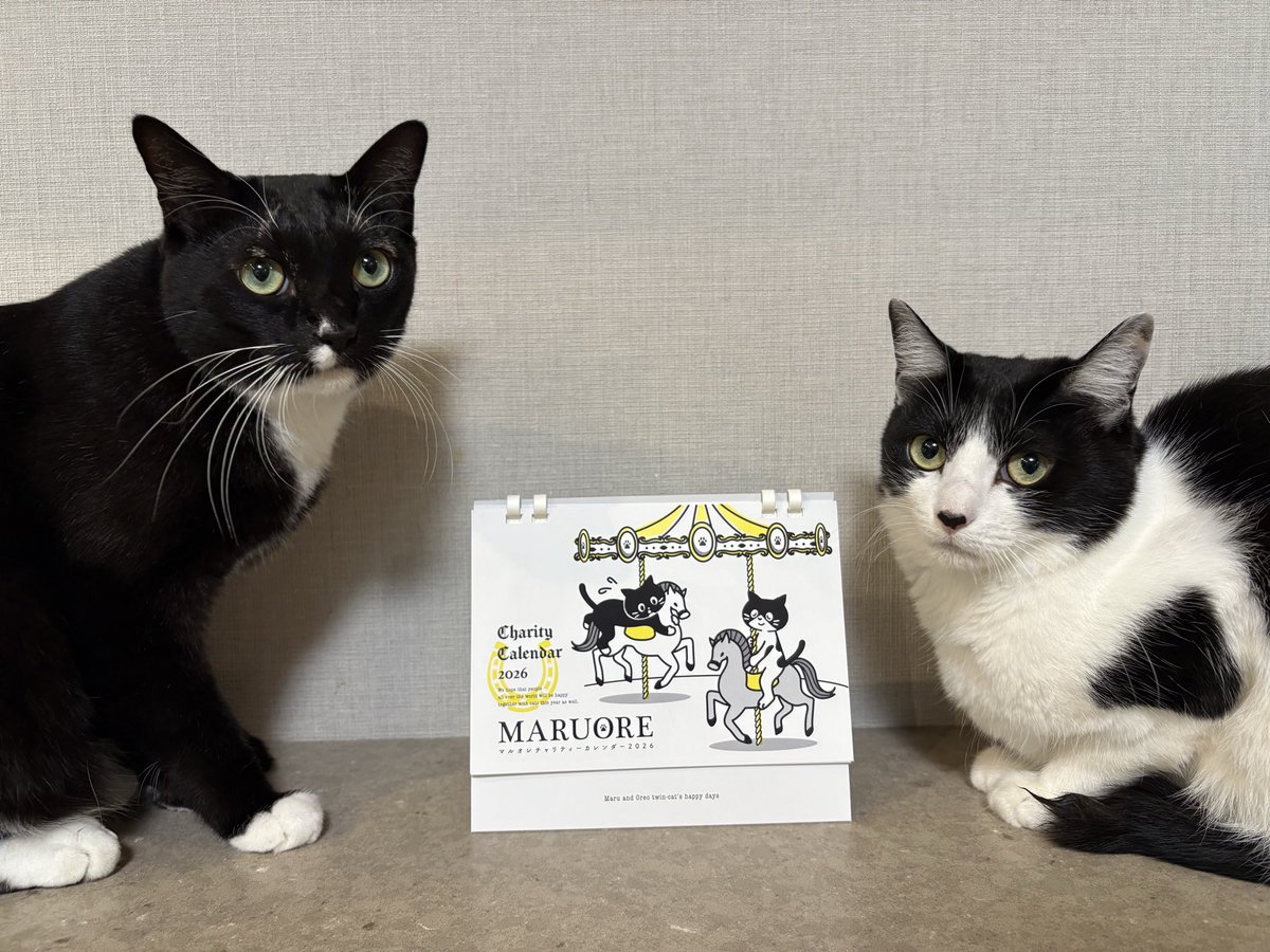 ねこ 楽天市場】【オマケ付！】手帳 2026年 1月始まり 10月から使える MB6