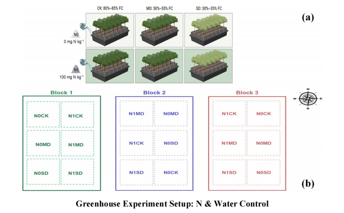 A new study explores how nitrogen addition affects Moso bamboo growth under drought stress, revealing its role in enhancing drought tolerance and guiding sustainable bamboo forest management.🧐
#nitrogen #drought #bamboo 
<a href="/Forestecosyst/">Forest Ecosystems</a> 
sciencedirect.com/science/articl…