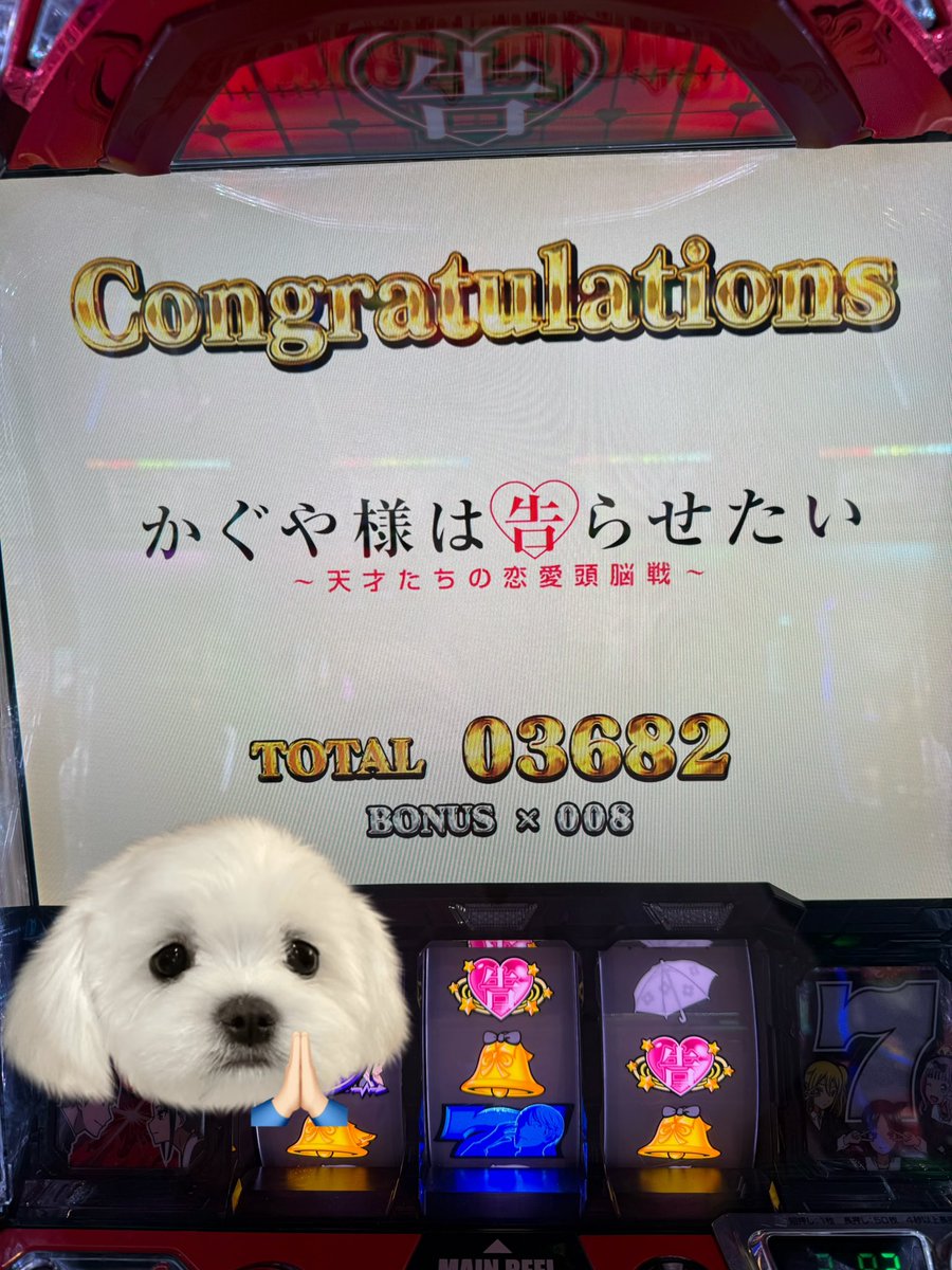 ほしまみ🐨🌟 on X