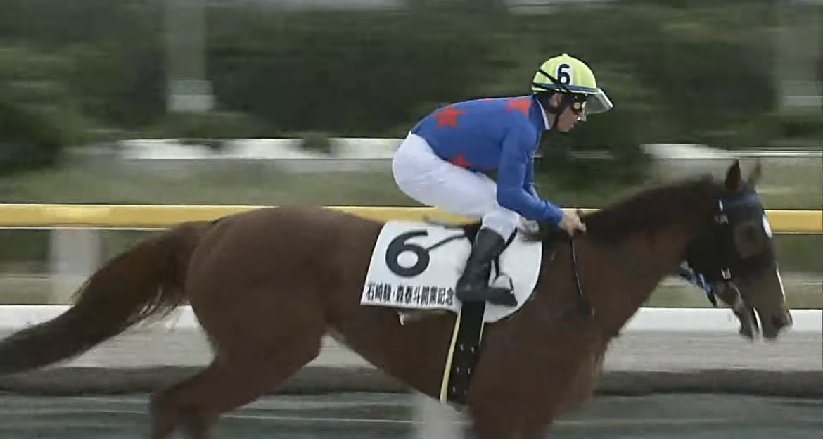 まくたろう 2352-63P1145309.jpg?v=1729833598